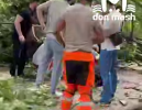 В центре Ростова на женщину упало дерево