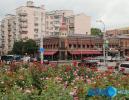 В трех районах Ростова появятся новые улицы